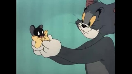 Tom & Jerry - Casanova Cat 