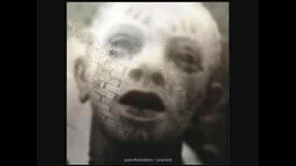 Pain of Salvation - Idiocracy