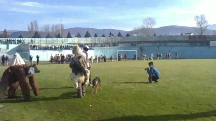 Черниче в Симитли 15.01.2011 