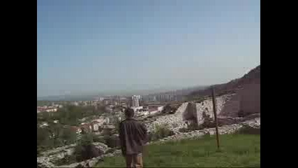 Оазис