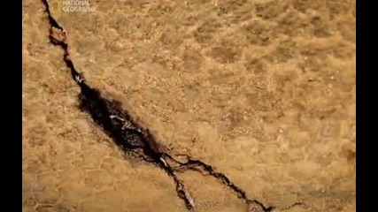 National Geographic - Динозавърска аутопсия част 3/5 бг аудио High Quality