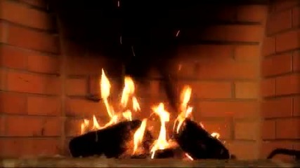 Танос Петрелис - Чест