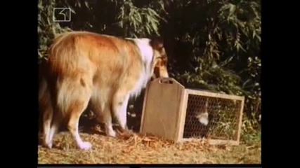Ласи - Бг Аудио, Епизод (1965) - Lassie храни животните