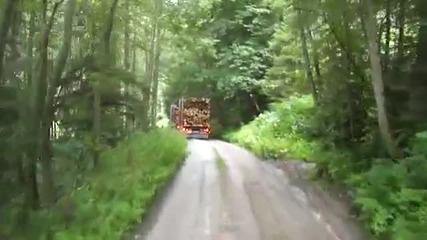 Holztransport