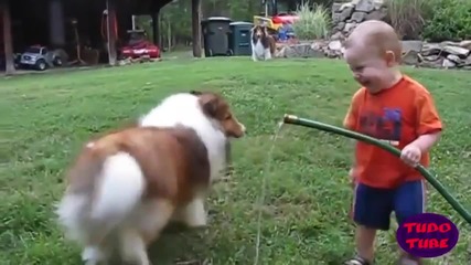 Обич между деца и кучета
