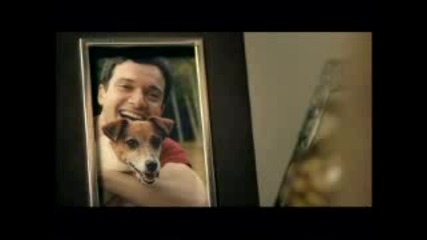 И Кучетата Имат Чувства
