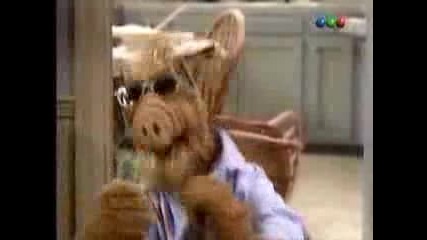 Alf Rocking The House Spanish