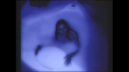 Ceca - Crveno - (official Video) t.in