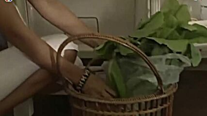 The Princess (2000) / Принцесата Е06, 2/2