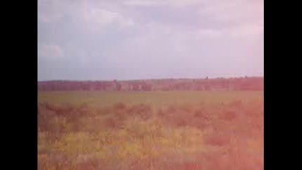Бв 7623 - гара Долно Церовене - Габровница