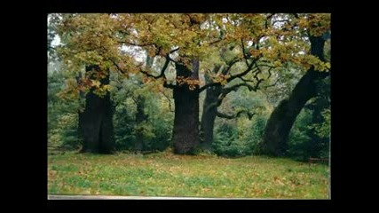 Wojnar - Zyciodajna Bozyca