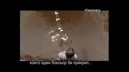 [1/2] '' Речни Чудовища '' - Убийци От Амазонка + Превод