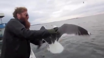 Рибар хваща птица във въздуха!