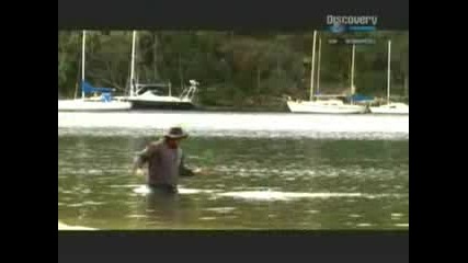 Discovery Channel - Animais Mortais Parte1