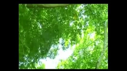 Химн на България за Ес 2007г. - Володя Стоянов