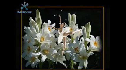 Baletul Florilor- the Balet Of Flowers
