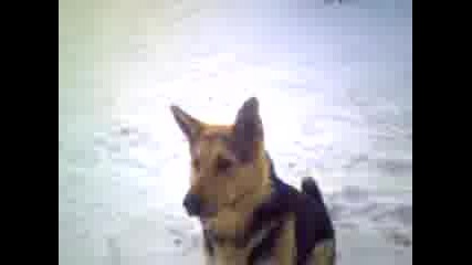 бъки