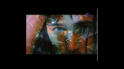 Fen Video Na Djena - Treilar Ot Pesenta - Po Poleka