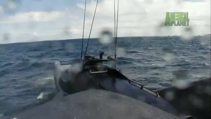 Whale Wars: The Ady Gil 