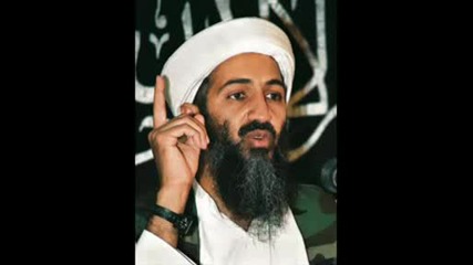 The Bin - Laden Song