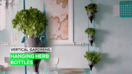 Vertical Gardens: Hanging Herb Bottles