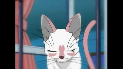 tokyo mew mew episode 29 part 01