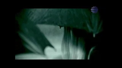 Анелия-следа от любовта = 26.07.
