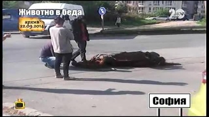 Господари На ефира Цялото Предаване 07.10.2014