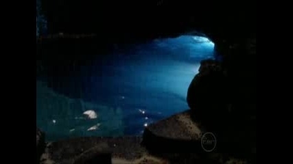 cariba heine - way to the top