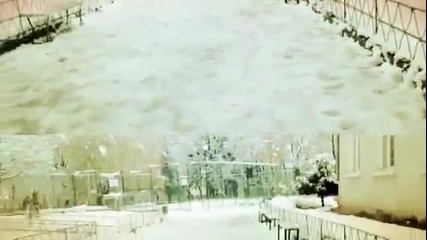 Snowy Day