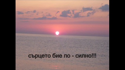 Рожден Ден 2013