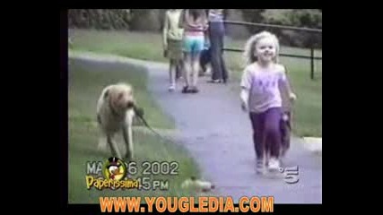 Смешни Бебоци И Кучета