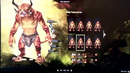 Gamescom 2011: Guild Wars 2 - Character Customization Walkthrough