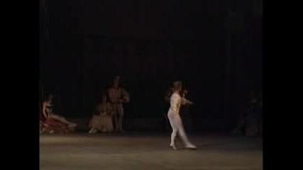 swan Lake Lopatkina & Zelensky