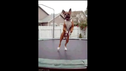 Айдее Бейби Jump xd :d :d [смях]