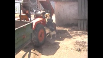 Трактористката