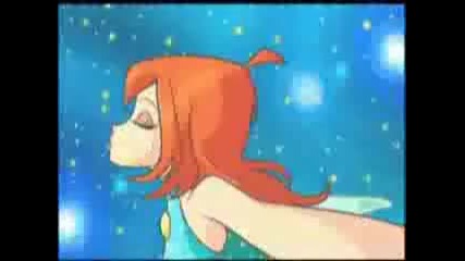bloom transformacions 