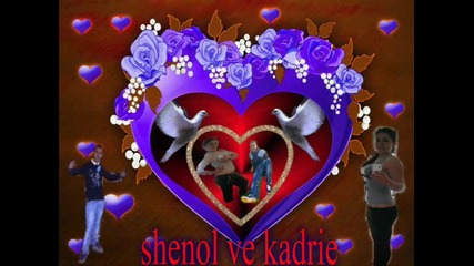 shenol & ani & jani & ismail wmv