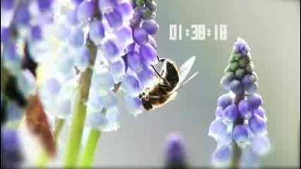 O2 - Walking on a dream 