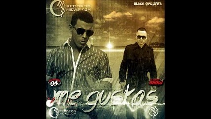 ^2013^ Yandel y Tito El Bambino - Me Gustas (official Preview)