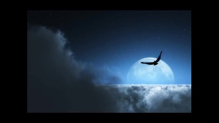 Blank & Jones - A Forest (ron van de Beuken & Exor Remix)