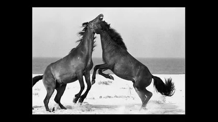 Atb - Black night 