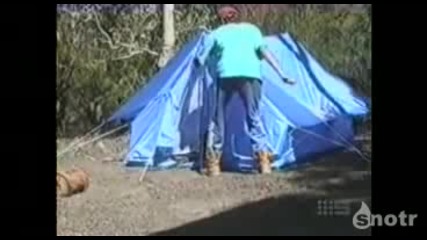 Варан в палатката 