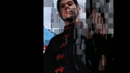 Limp Bizkit (wes Borland)