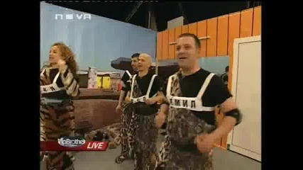 Vip Brother 3 - Изпитание *първобитна магистрала*
