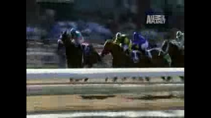 Jockeys Mike Smith in Ladies Choice