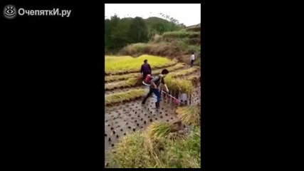 Изобретателен китаец жъне оризова нива !