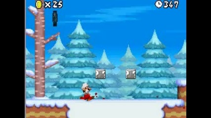 Nsmb~5 - 1 level