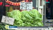 Данъци и осигуровки: Какво остава в джоба на работещите и какво предлагат партиите