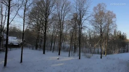 One Year in 90 seconds 